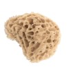 Top Dog Natural Sponge Kapadiko