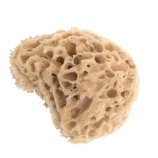 Top Dog Natural Sponge Kapadiko