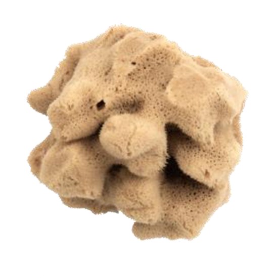 Top Dog Natural Sponge Fine