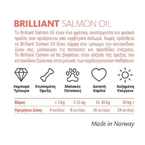 Pet Camelot Brilliant Λάδι Σολομού Σκύλου 300ml