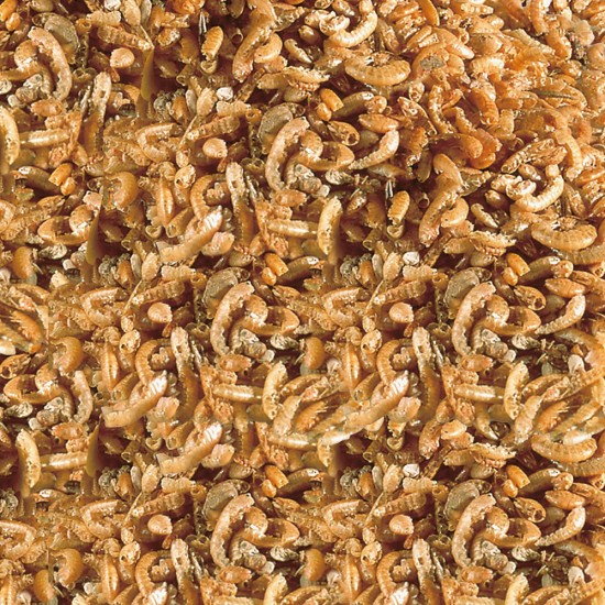 Sera Raffy I Nature Χελωνοτροφή σε γαρίδα 1000ml