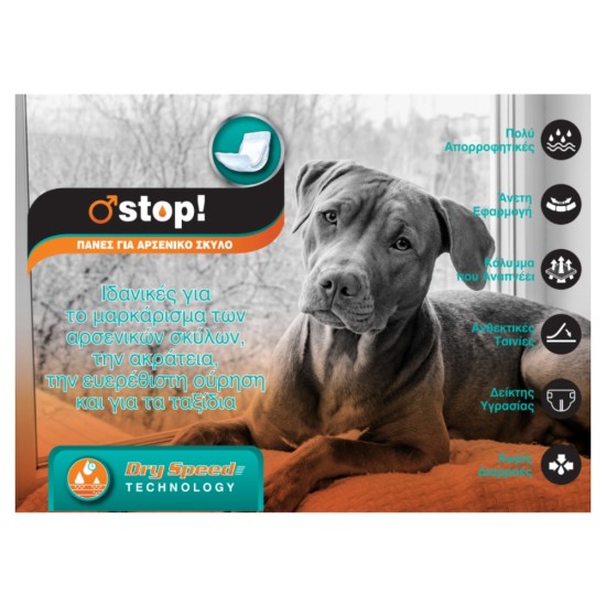 Pet Camelot Wraps Small Πάνες για Αρσενικό Σκύλο 500*205mm (12τεμ) 96320