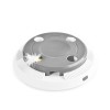 Ohana Rotating Feather Electronic Cat Toy