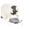 Ohana Rotating Feather Electronic Cat Toy